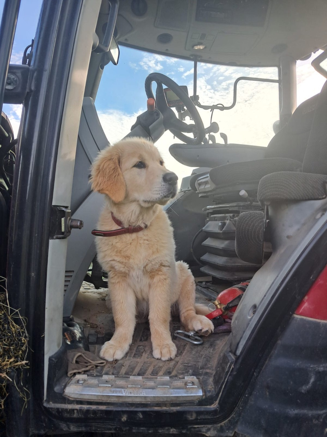 Des nouvelles des bébés de Rumba!