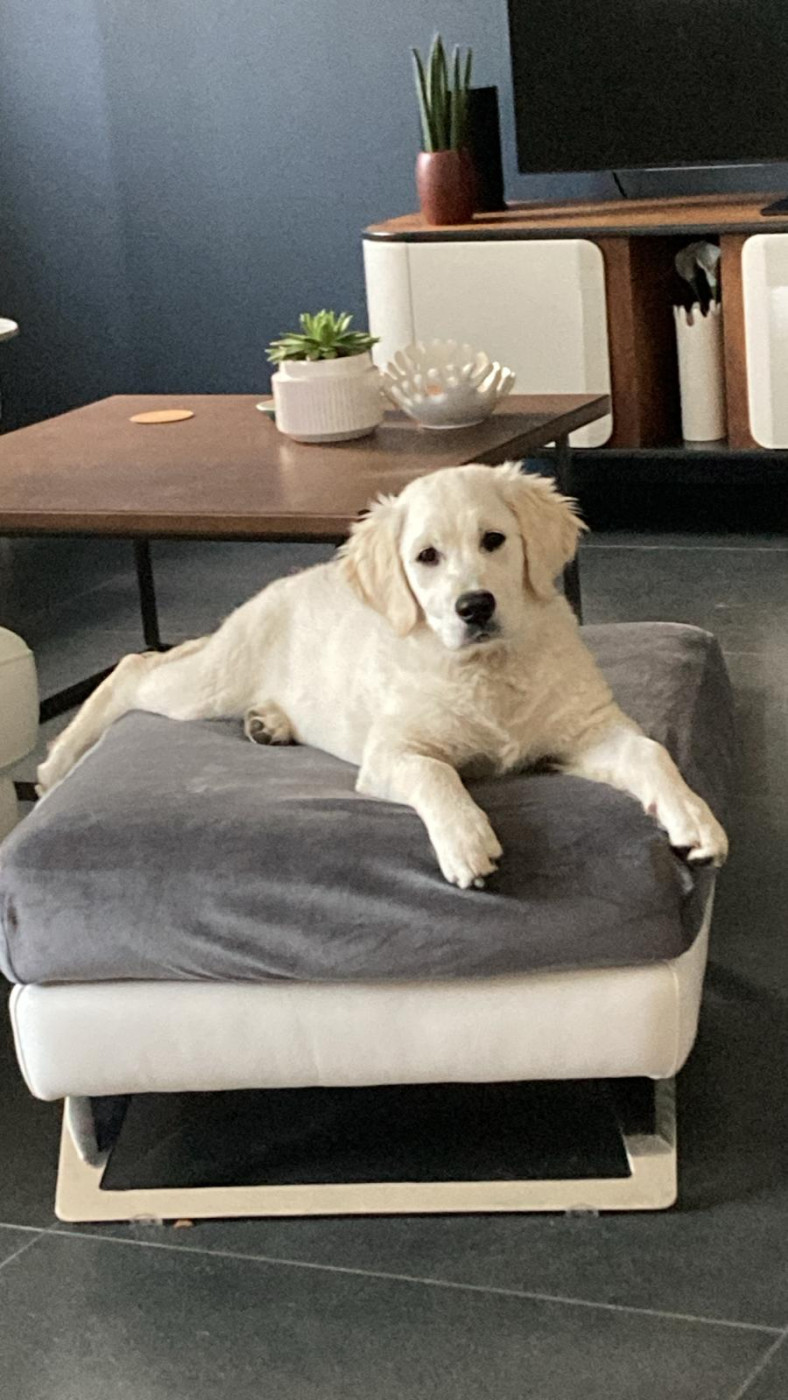 Photos des bébés qui grandissent!