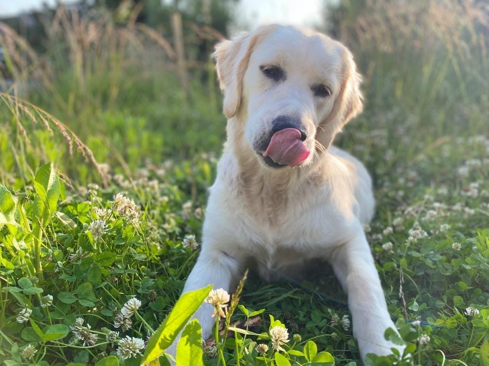 Des nouvelles qui font plaisir