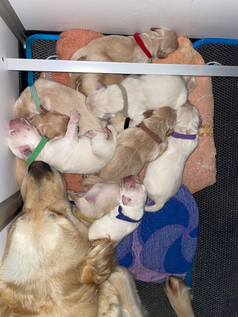 Les bébés prennent leurs marques